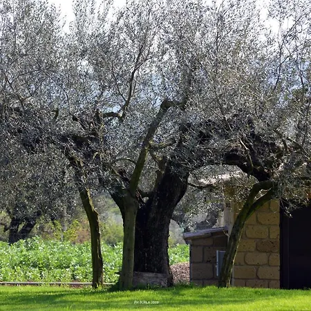 Country house Il Casale Degli Ulivi *