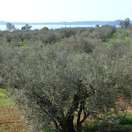 Il Casale Degli Ulivi Gradoli