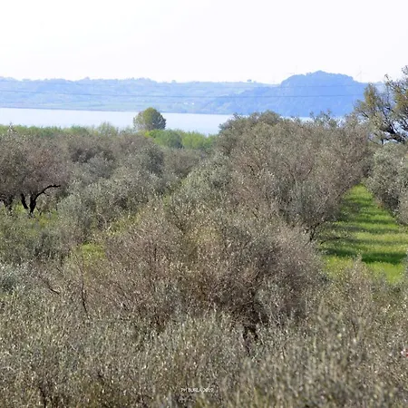 Il Casale Degli Ulivi Venkovský dům Gradoli