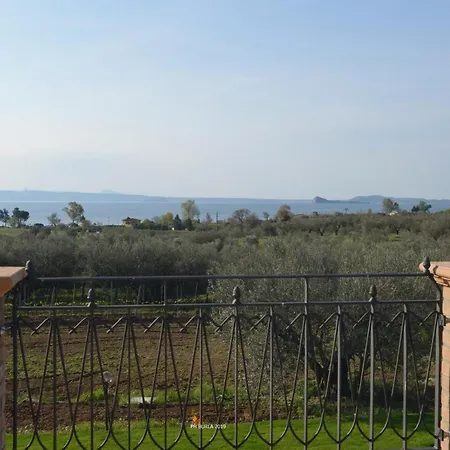 Il Casale Degli Ulivi Country house